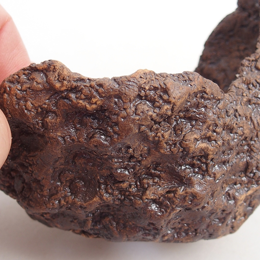 Ceramic Shell 10 x 8 x 9,5 cm , colour brown