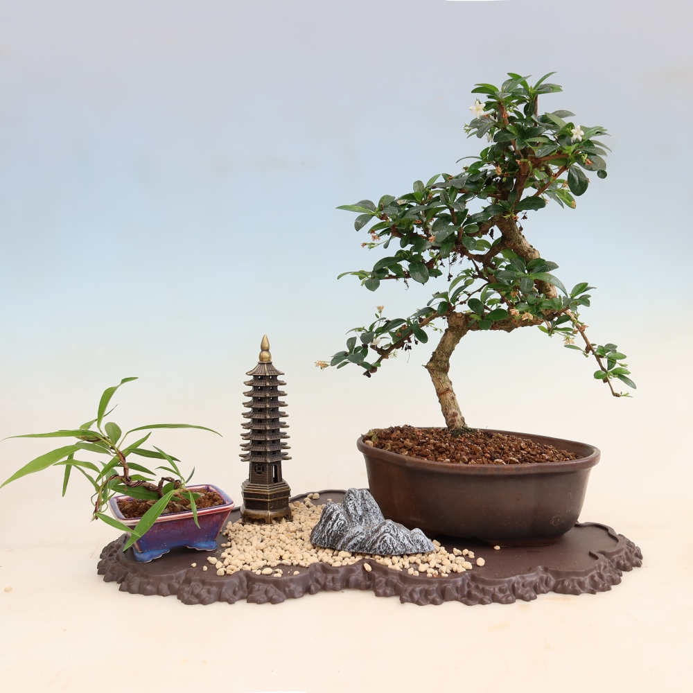 Plastic bonsai stand, 43 x 25 x 1.5 cm, brown