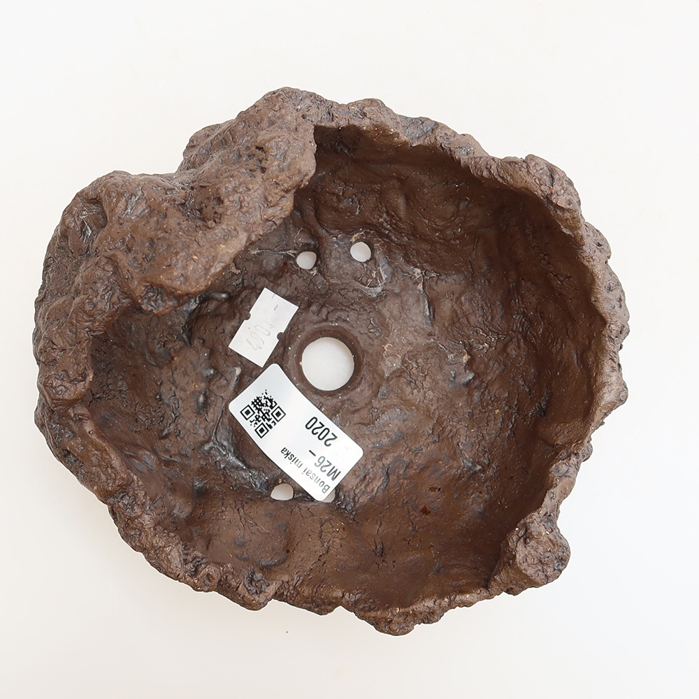 Ceramic Shell, 13.5 x 12 x 13 cm, brown