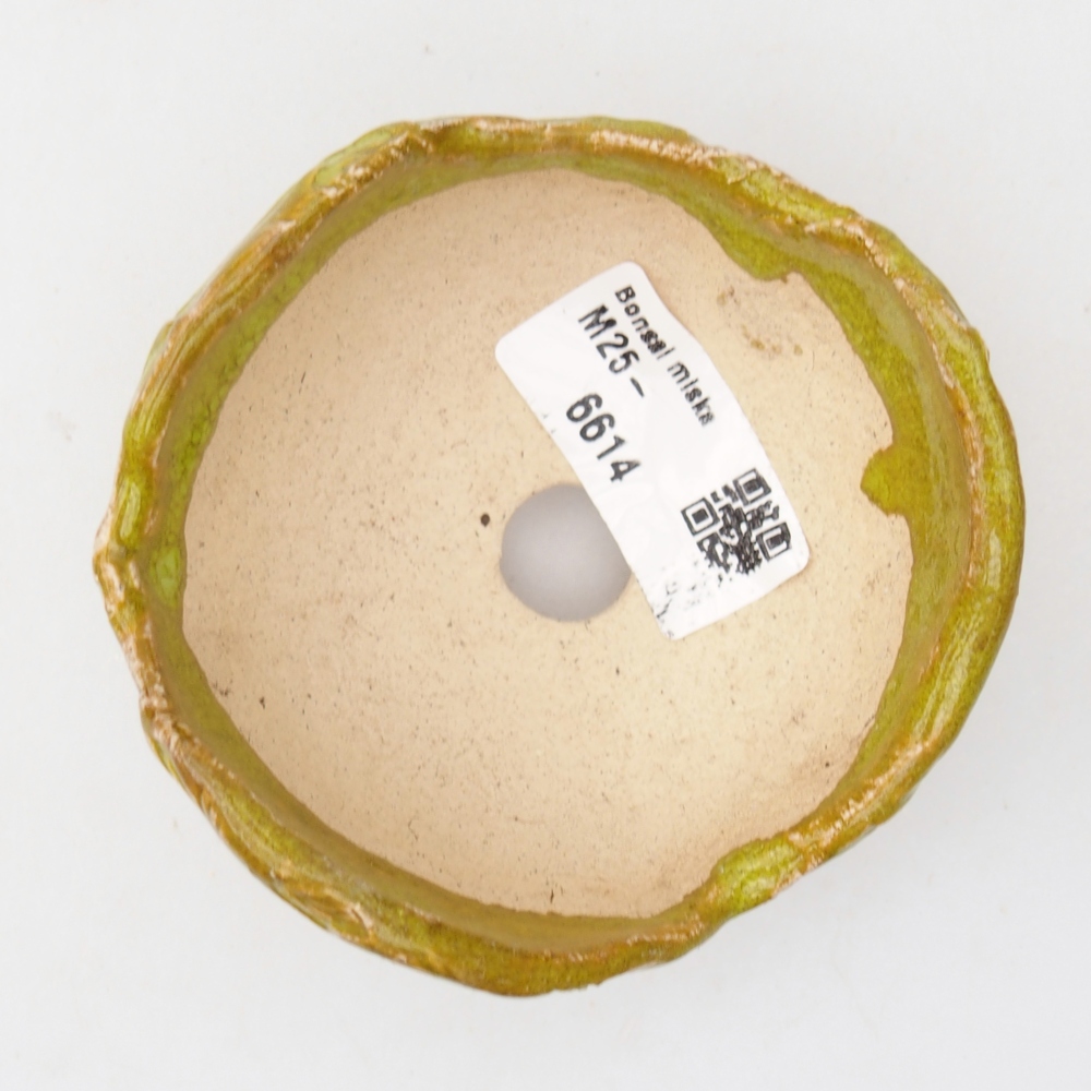 Ceramic Shell 9 x 8,5 x 5,5 cm , colour green