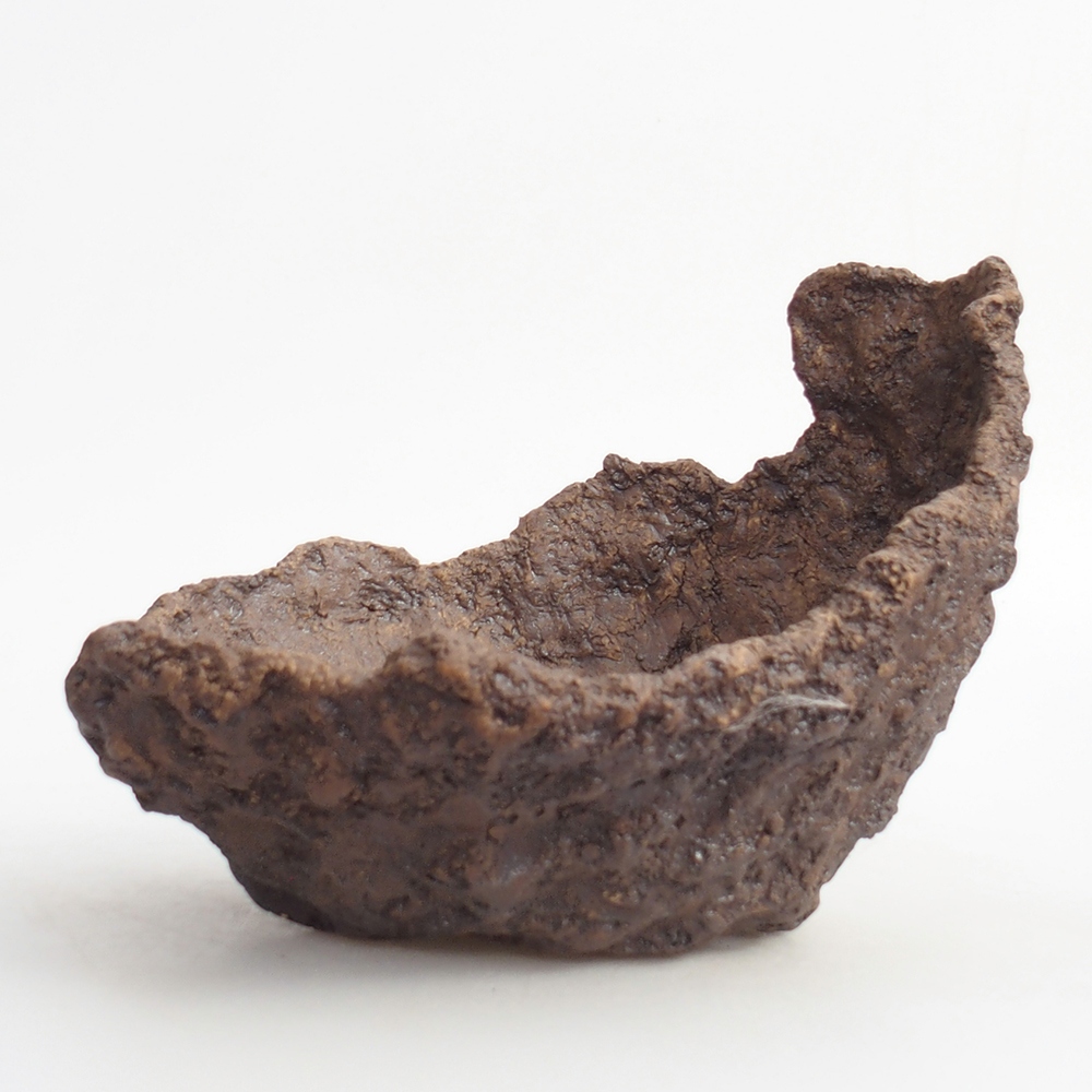 Ceramic shell 19 x 15 x 14 cm , colour brown