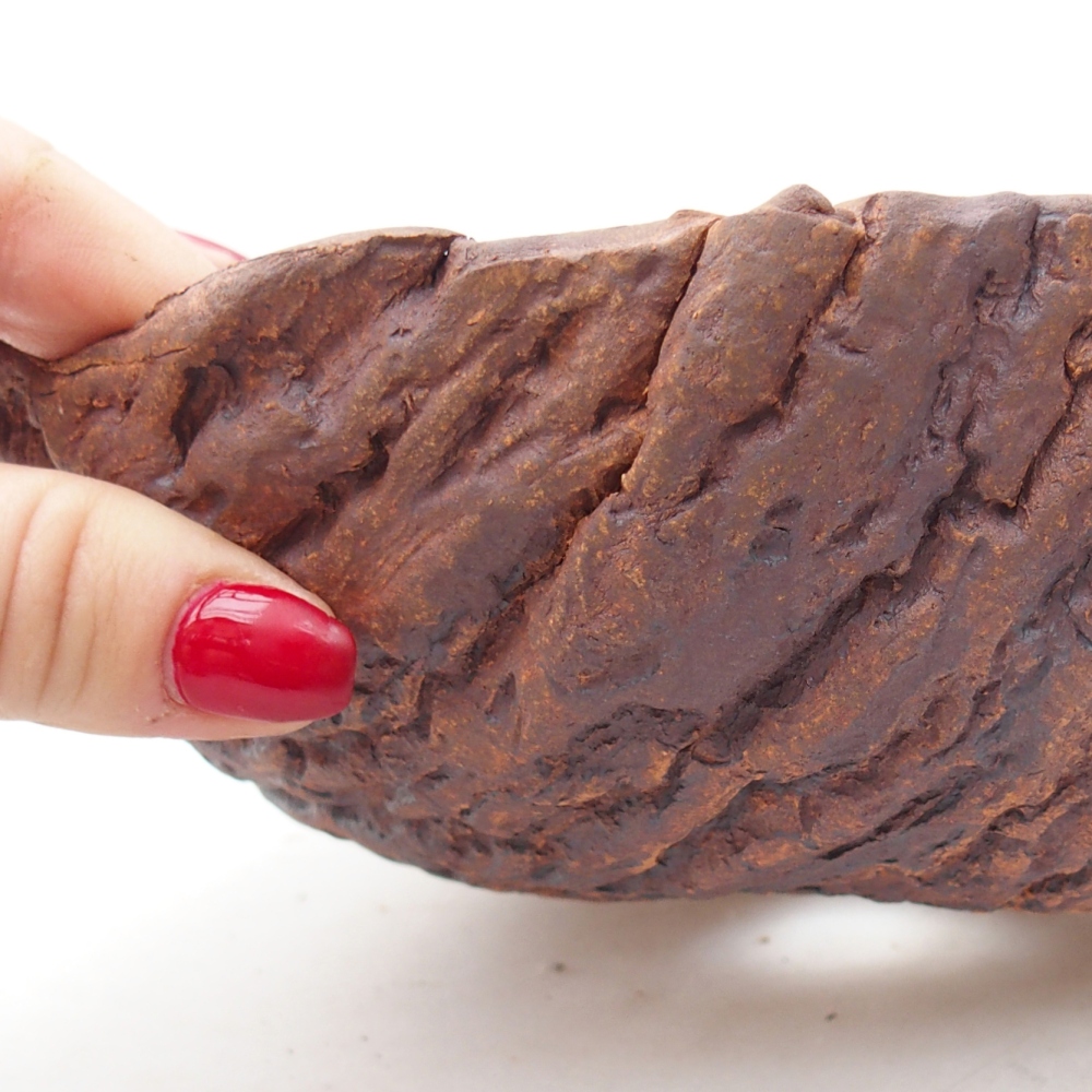 Ceramic Shell 18,5 x 18,5 x 8 cm , colour brown