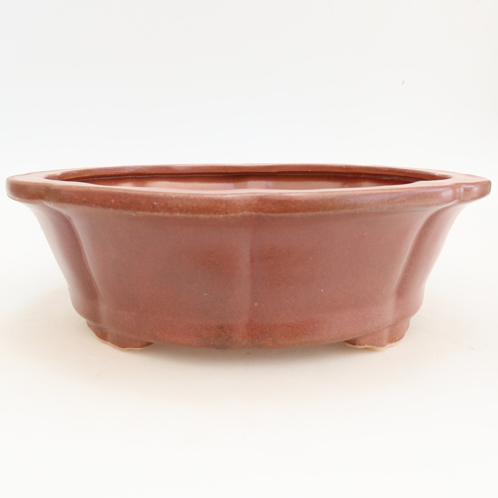 Ceramic bonsai bowl 26 x 26 x 8 cm, burgundy
