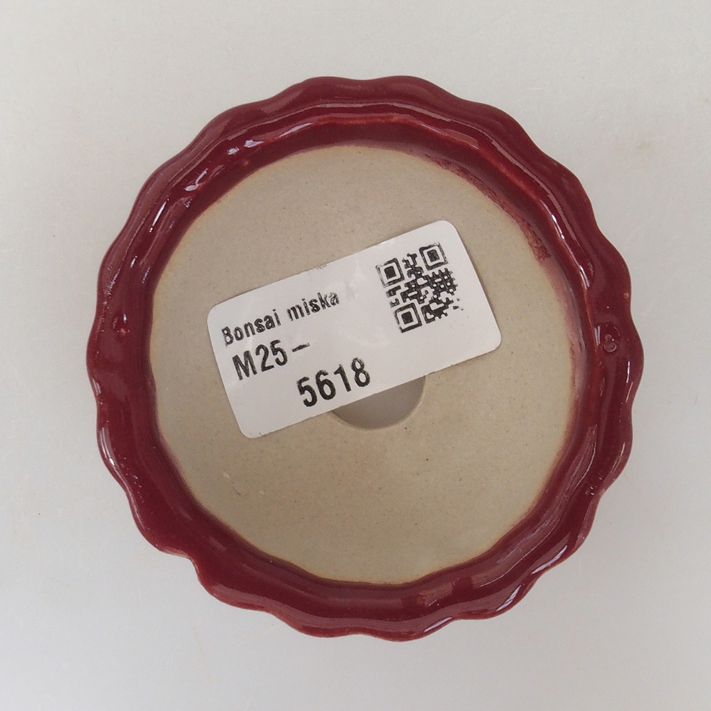 Mini bonsai bowl 6,5 x 6,5 x 3,5 cm, color burgundy
