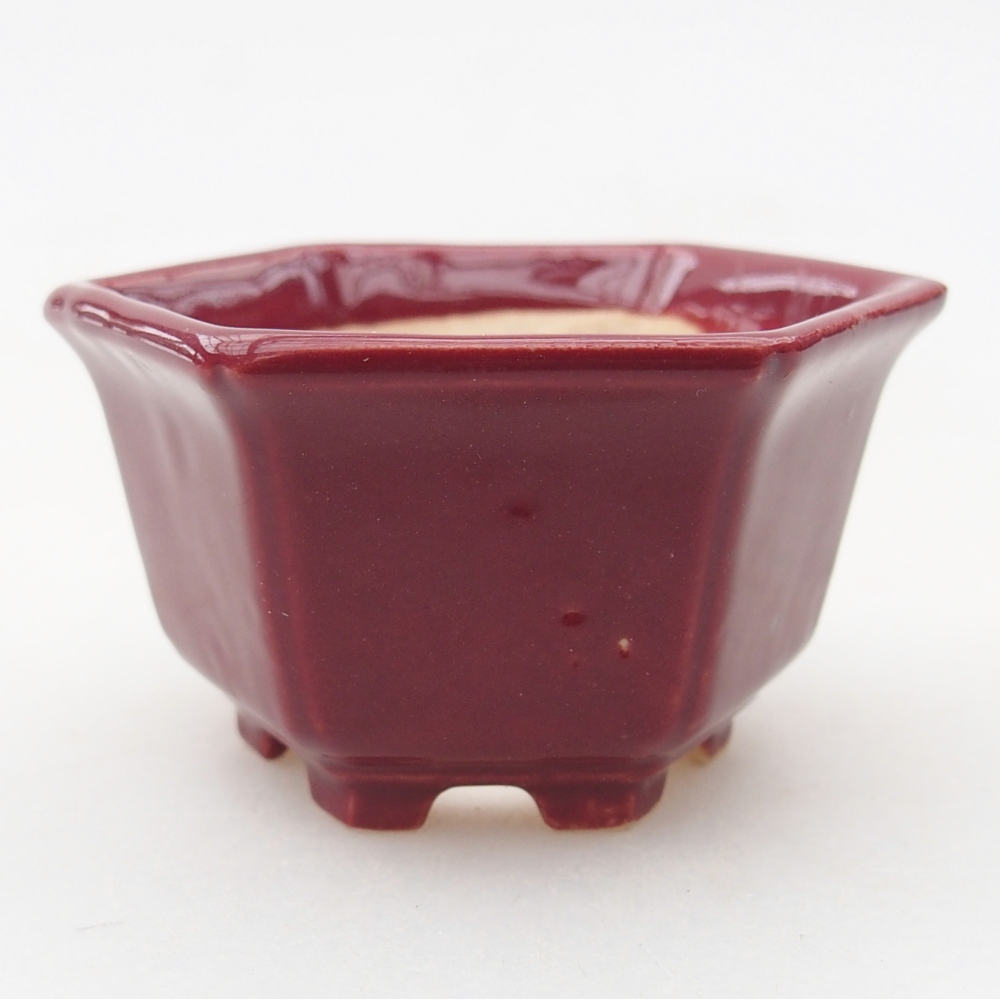 Mini bonsai bowl 5 x 4,5 x 3 cm, burgundy