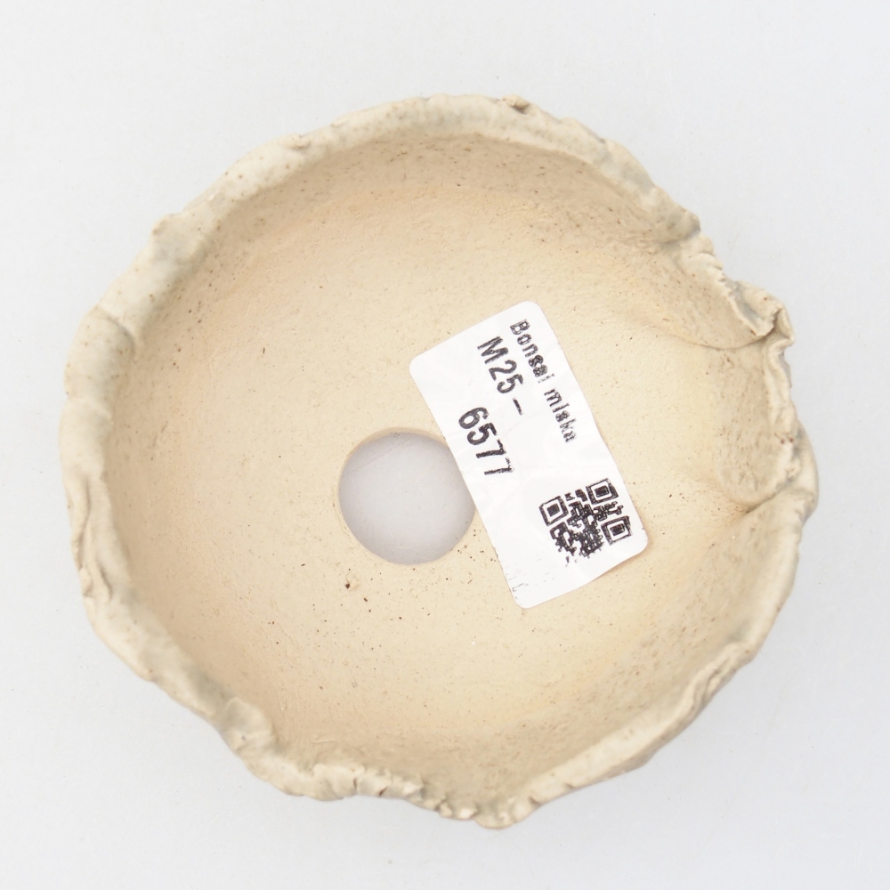 Ceramic Shell 9 x 8,5 x 5 cm , colour beige