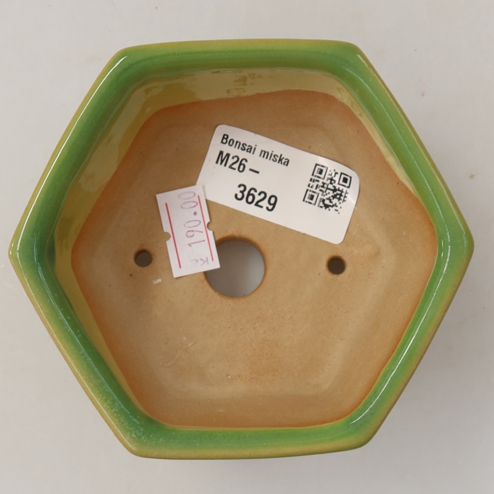 Ceramic bonsai pot, 10 x 9 x 5 cm, green