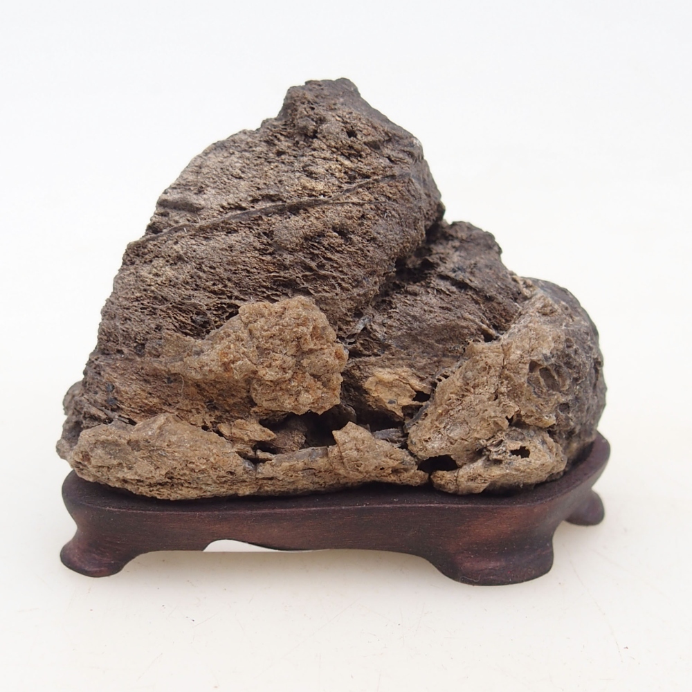 Suiseki - Stone with DAI (wooden pad)