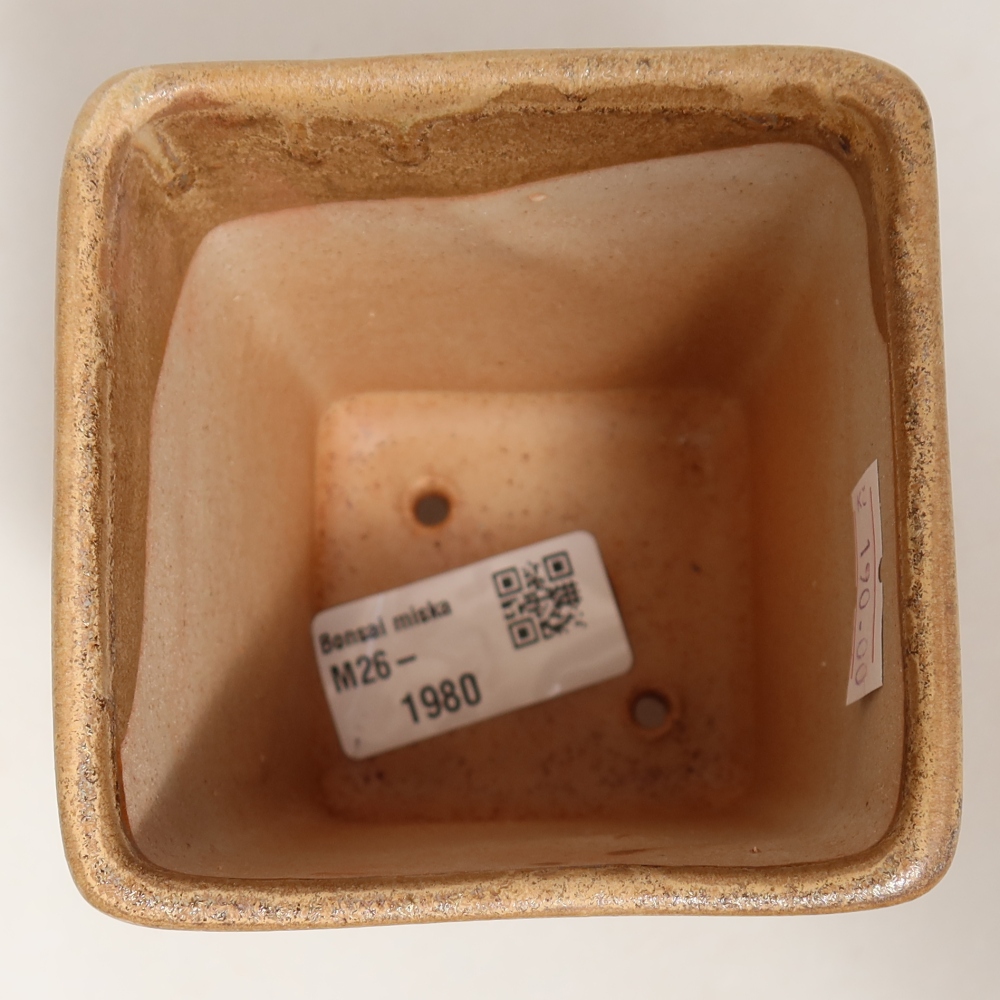 Ceramic bonsai pot, 7.5 x 7.5 x 10.5 cm, beige