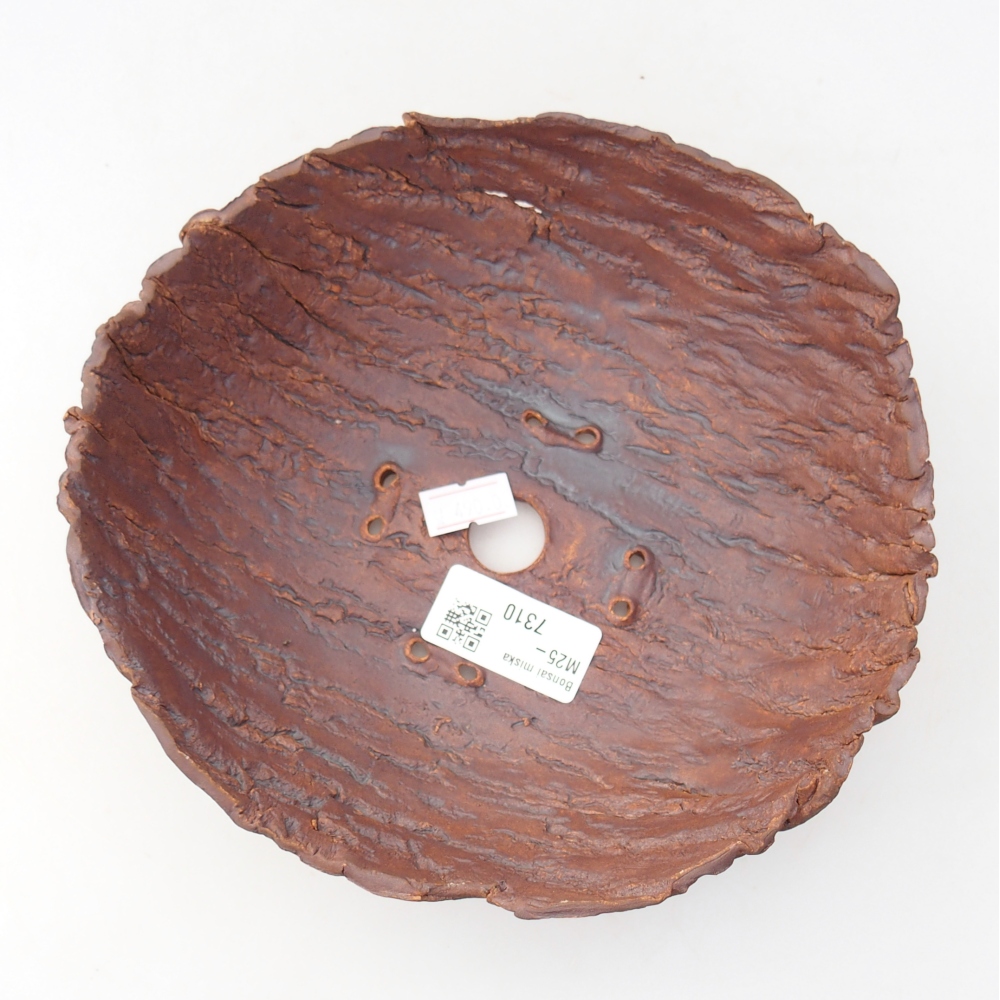 Ceramic shell 19 x 17 x 7 cm , colour brown