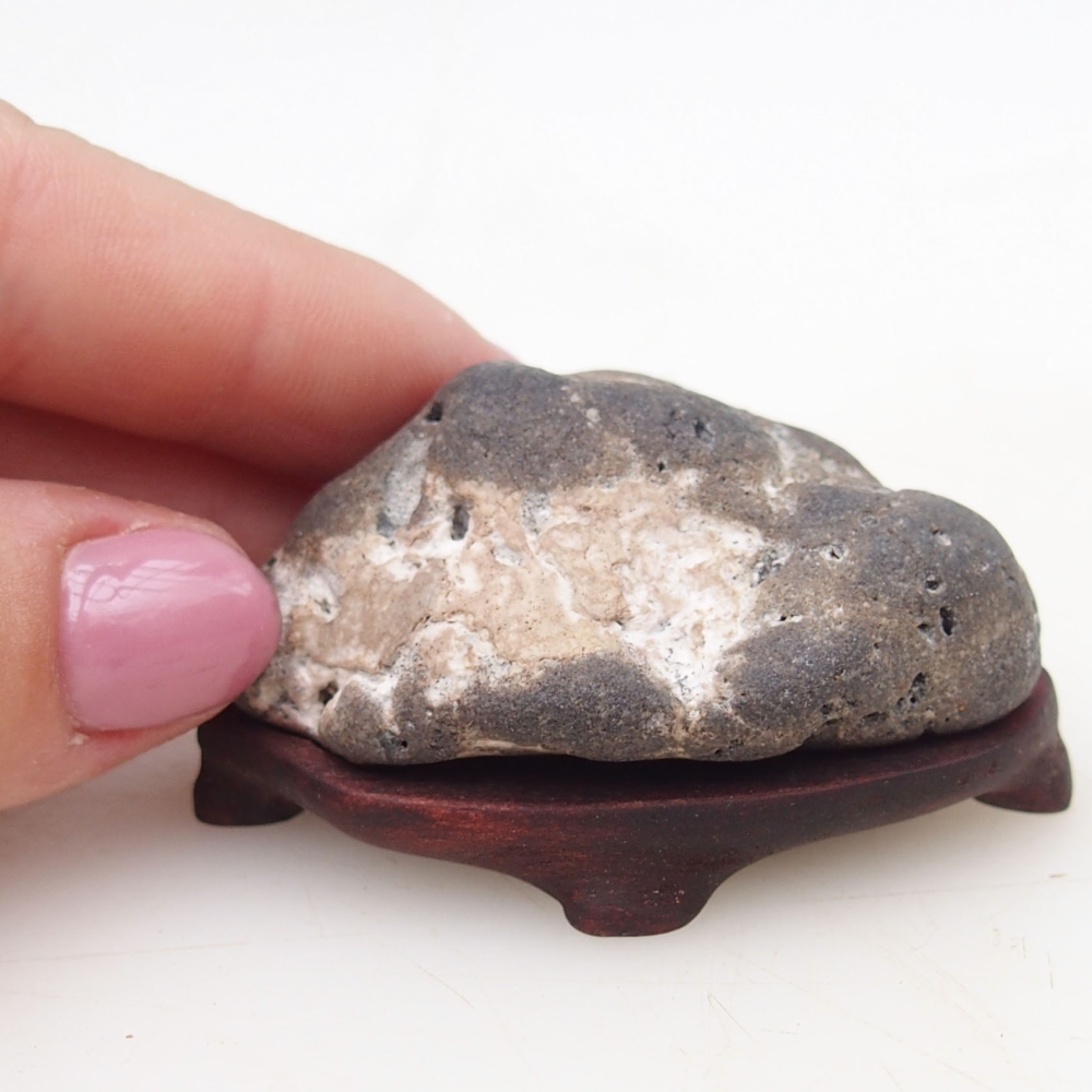 Suiseki - Stone with DAI (wooden pad)