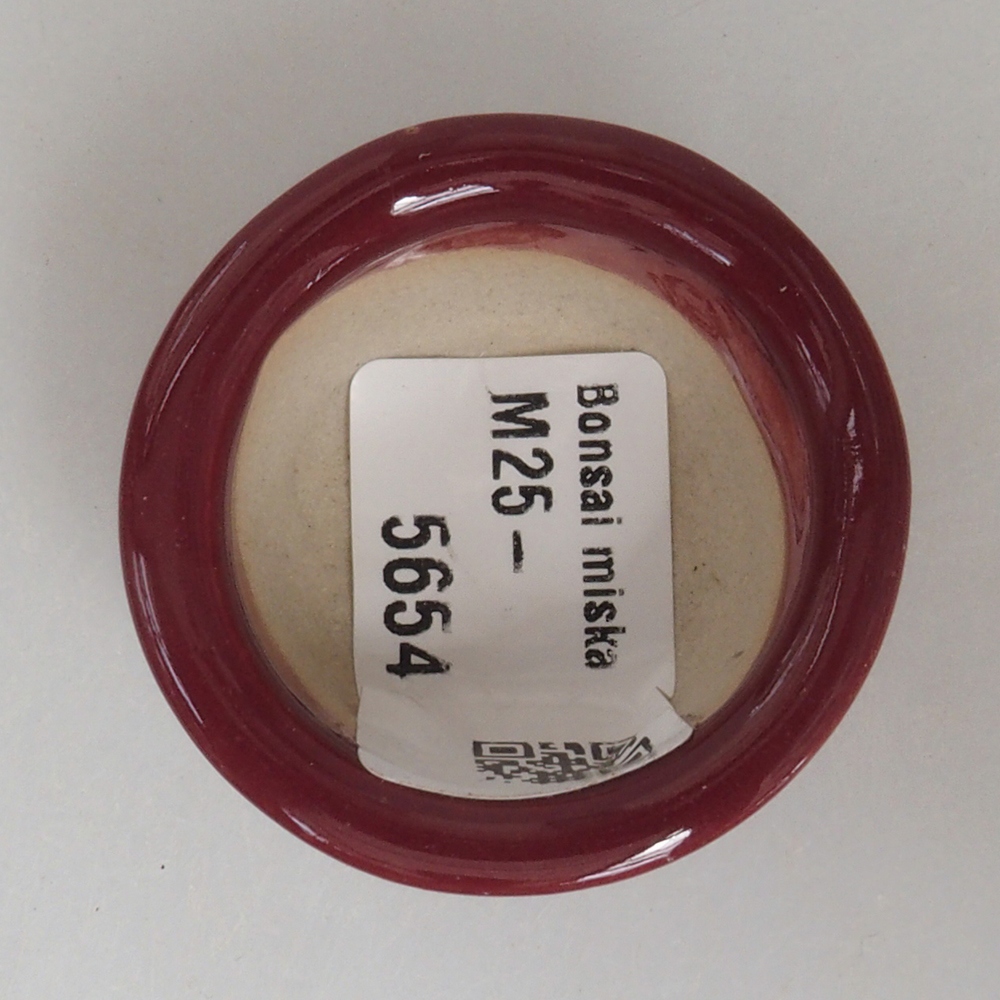 Mini bonsai bowl 4 x 4 x 2 cm, color burgundy