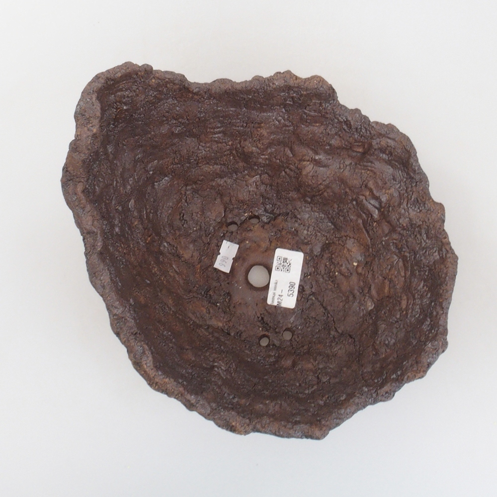 Ceramic shell 20 x 19 x 20 cm, brown color