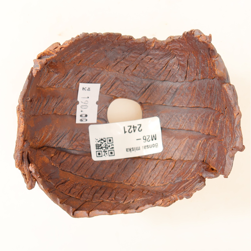 Ceramic Shell, 9.5 x 8.5 x 8.5 cm, brown