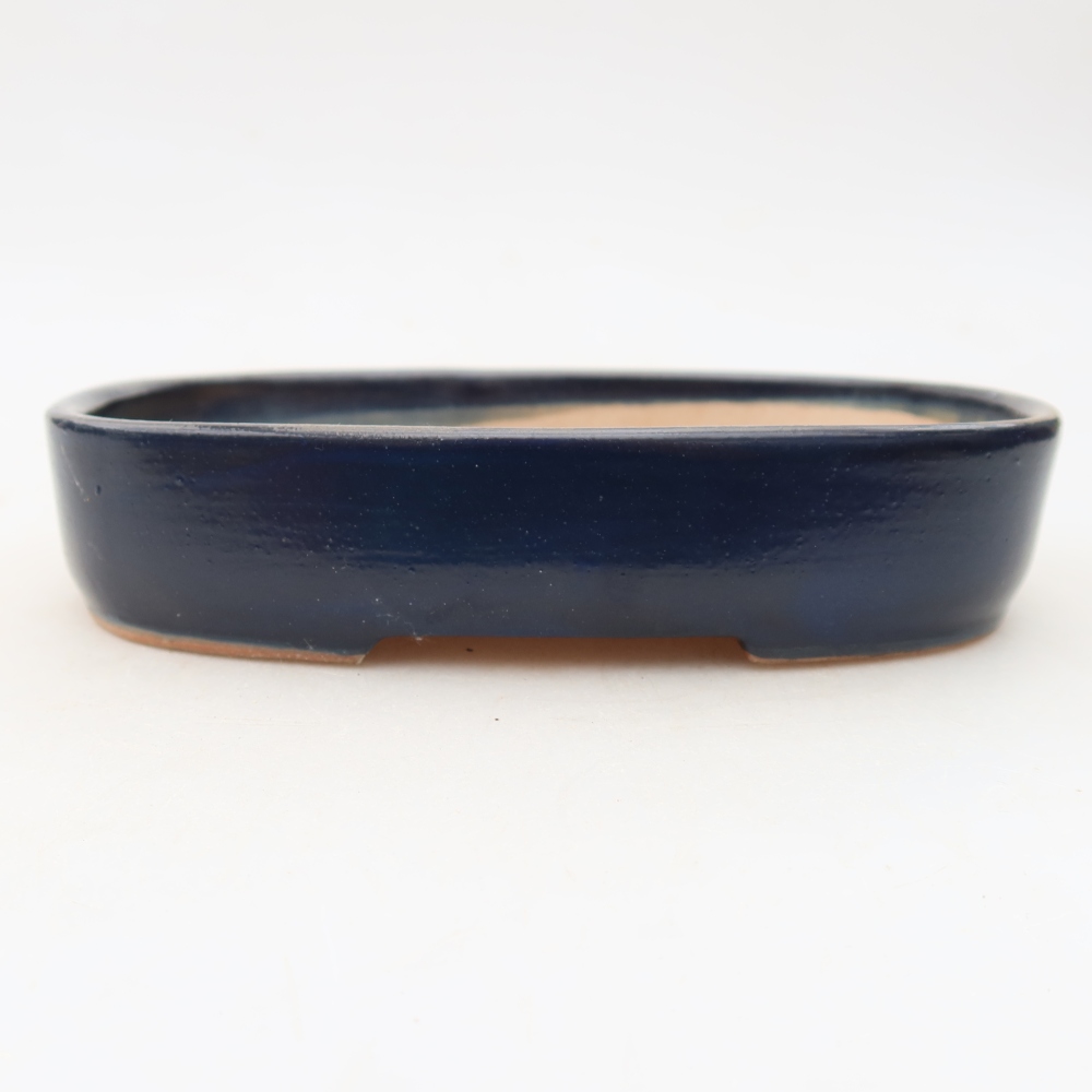 Ceramic bonsai pot, 16 x 11 x 3.5 cm, blue