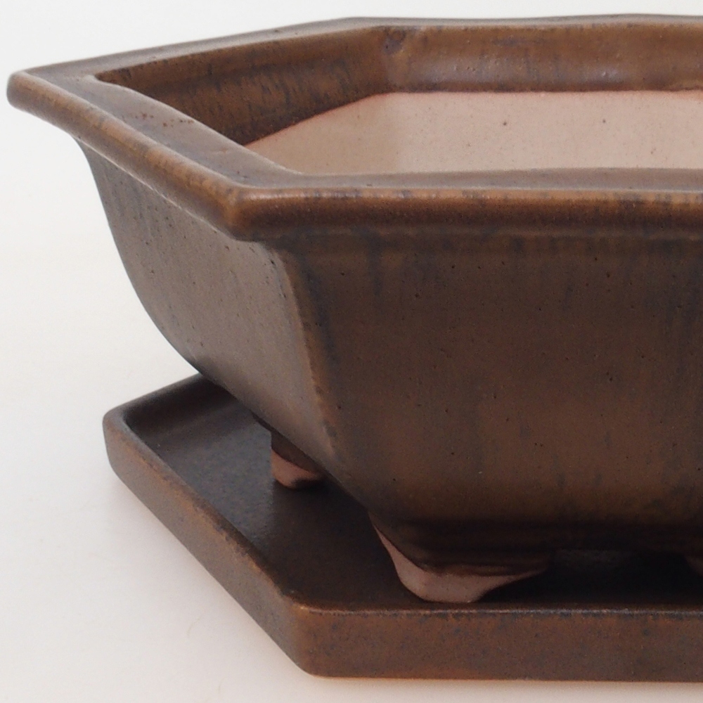 Bonsai pot + saucer H53 - 19 x 21.5 x 7 cm. - brown