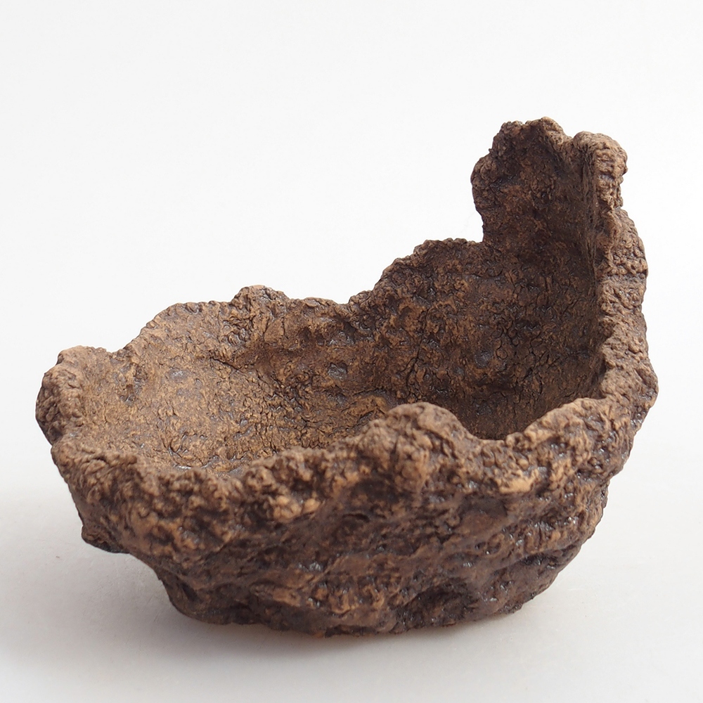 Ceramic Shell 10 x 8 x 9 cm , colour brown