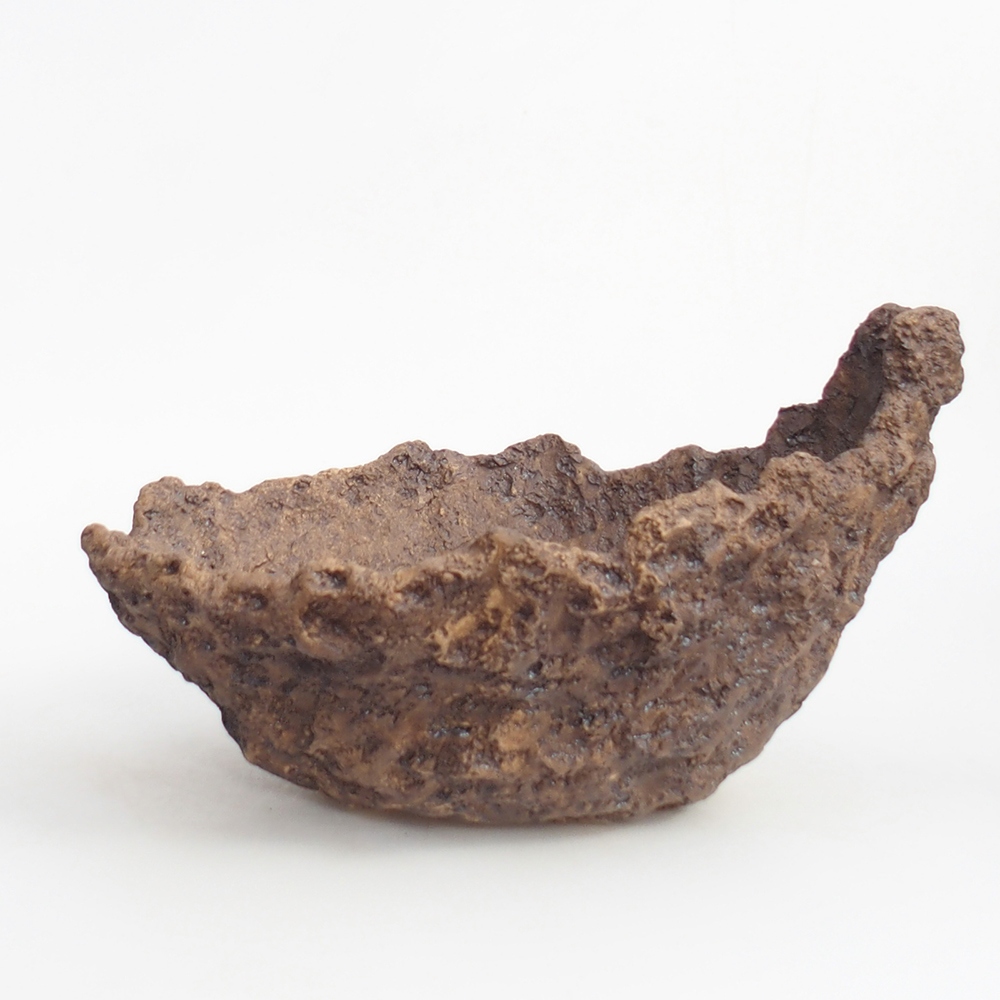 Ceramic shell 19 x 15 x 14 cm , colour brown