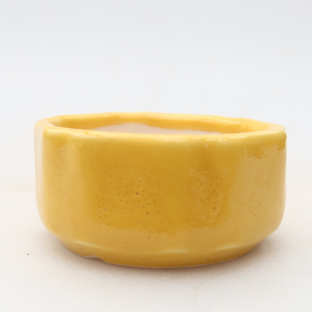 Ceramic bonsai pot, 5 x 5 x 2.5 cm, yellow
