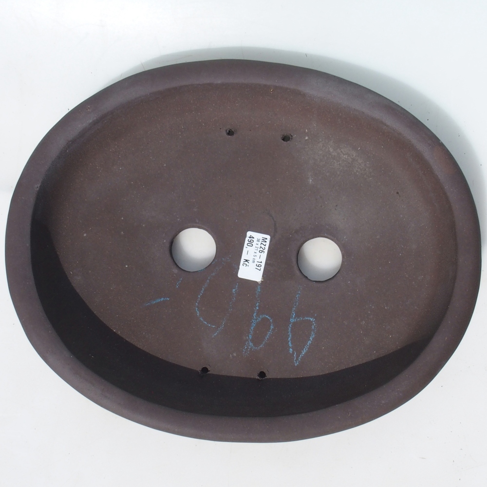 Bonsai bowl 38 x 21 x 5 cm birch brown