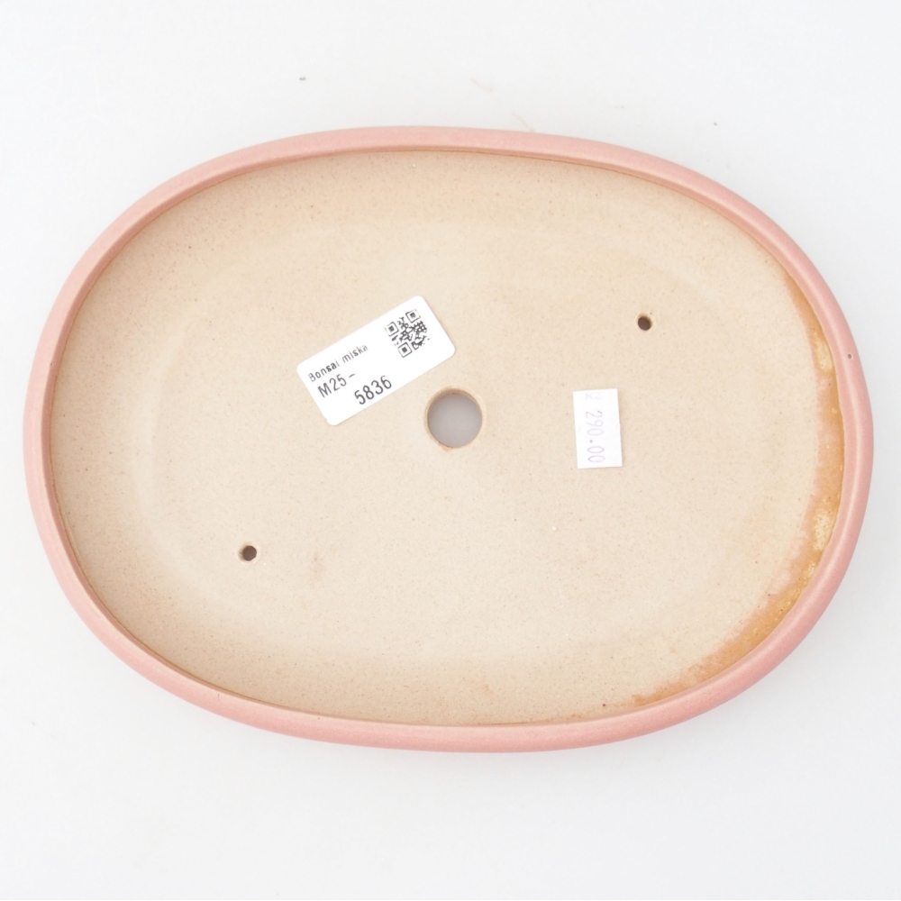 Ceramic bonsai bowl 22,5 x 17 x 3 cm, color pink