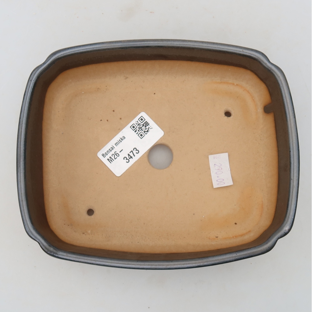 Ceramic bonsai pot, 15 x 12.5 x 4.5 cm, metallic color
