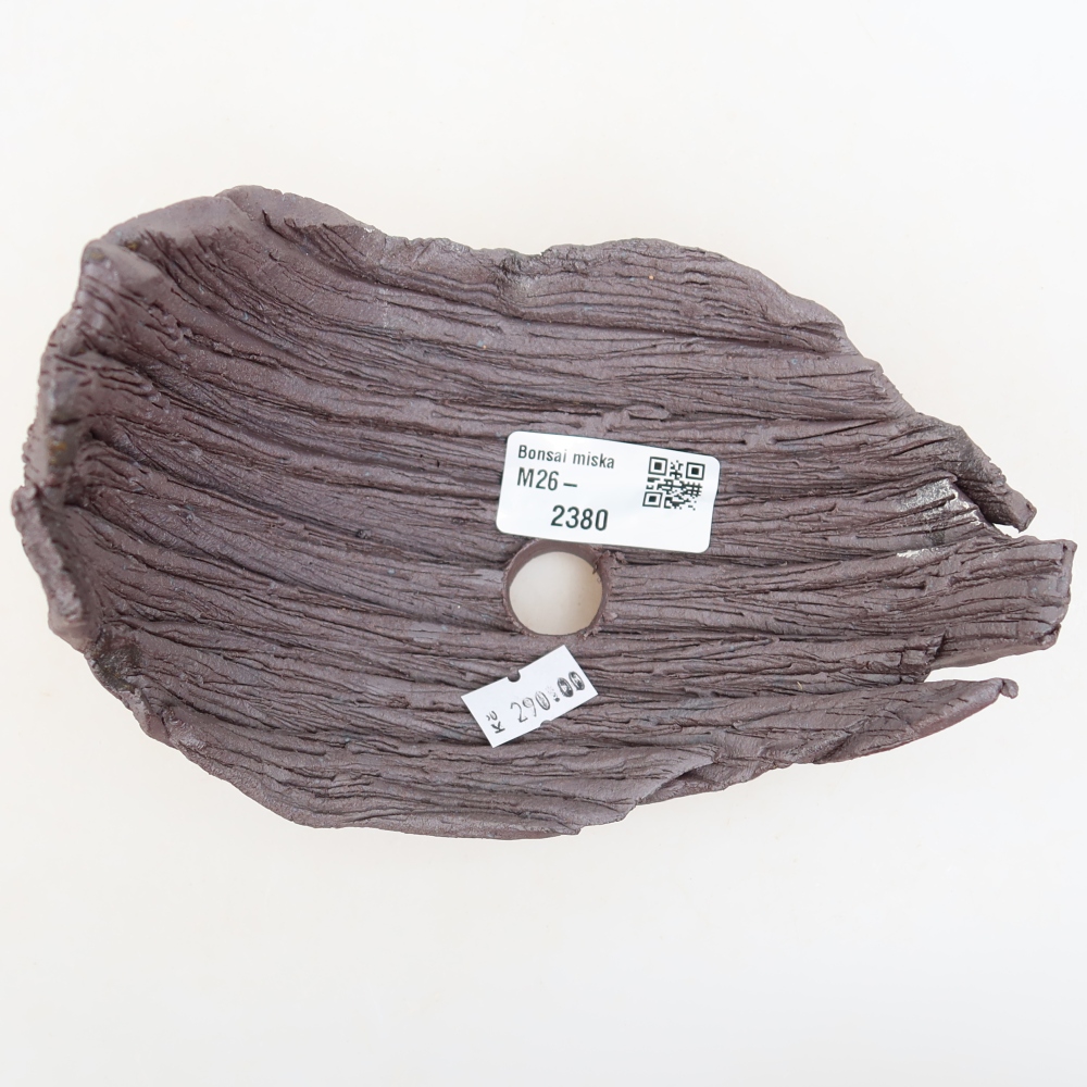 Ceramic Shell  14.5 x 11 x 12.5 cm, brown