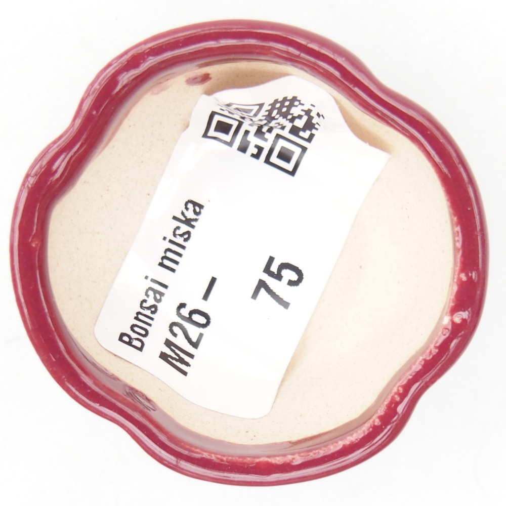 Mini bonsai bowl 4 x 4 x 2 cm, burgundy