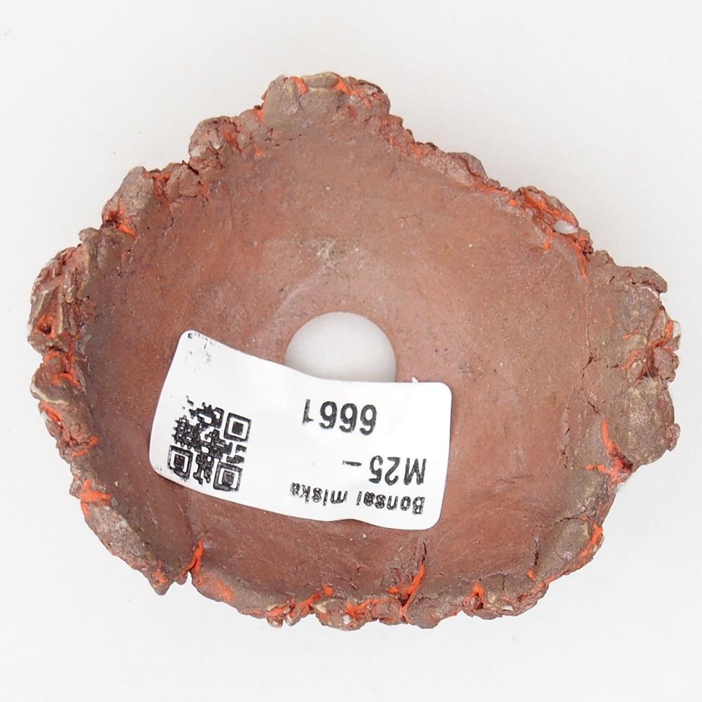 Ceramic Shell 7,5 x 6,5 x 3,5 cm , colour orange