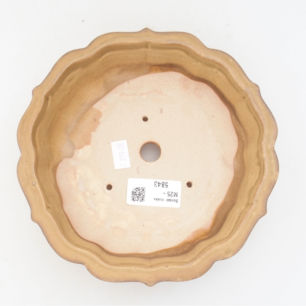 Ceramic bonsai bowl 18 x 18 x 5 cm, color beige