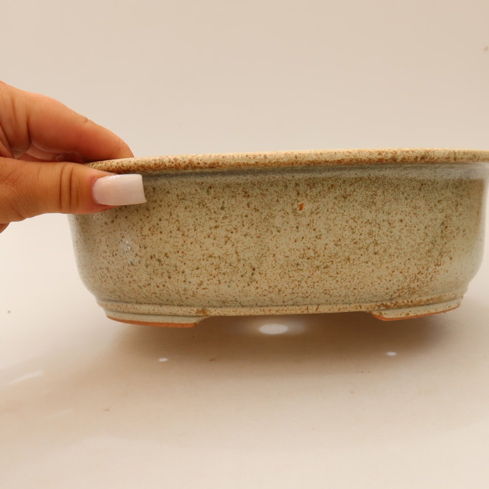 Ceramic bonsai pot, 23 x 19 x 8 cm, beige