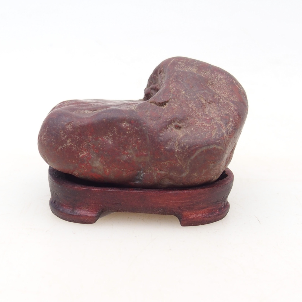 Suiseki - Stone with DAI (wooden pad)
