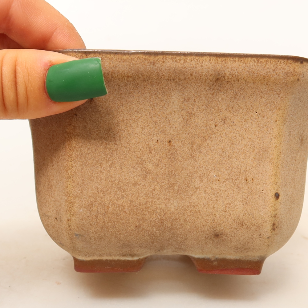 Ceramic Shell  11.5 x 11.5 x 7 cm, beige