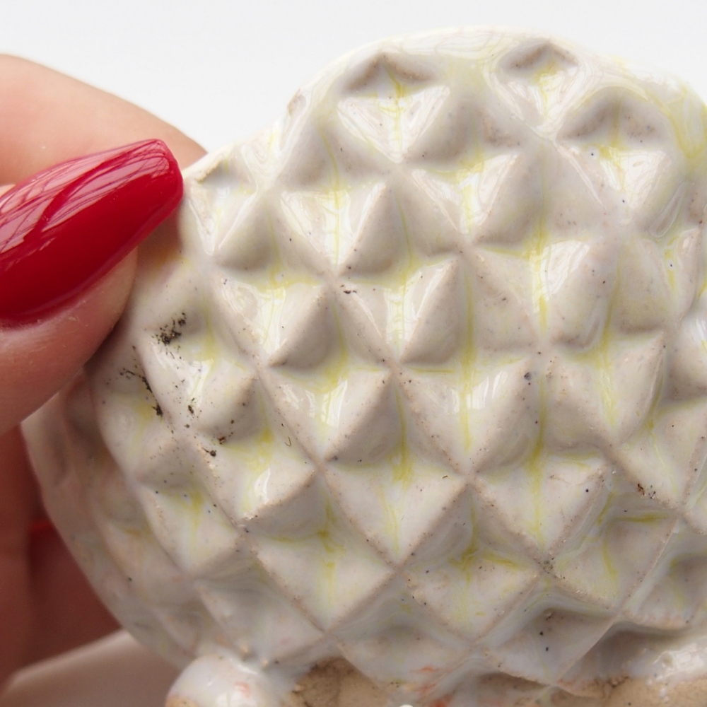 Ceramic shell 8 x 8 x 5 cm , colour green