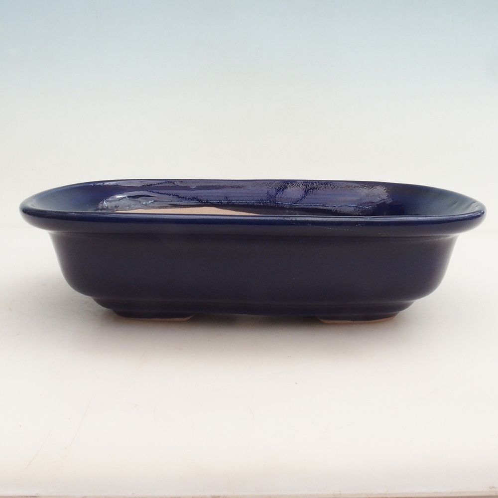 Bonsai bowl H25 - 23 x 17 x 5.5 cm. - blue