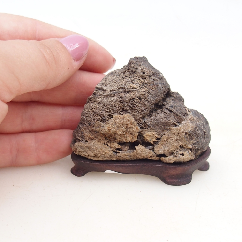 Suiseki - Stone with DAI (wooden pad)