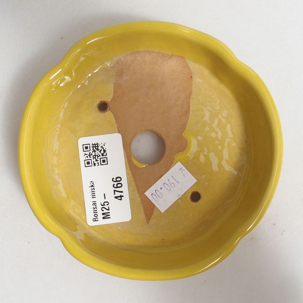 Ceramic bonsai bowl 11 x 11 x 3 cm, color yellow