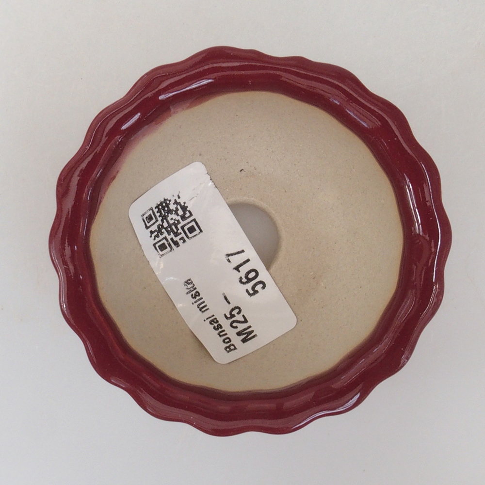 Mini bonsai bowl 6,5 x 6,5 x 3,5 cm, color burgundy
