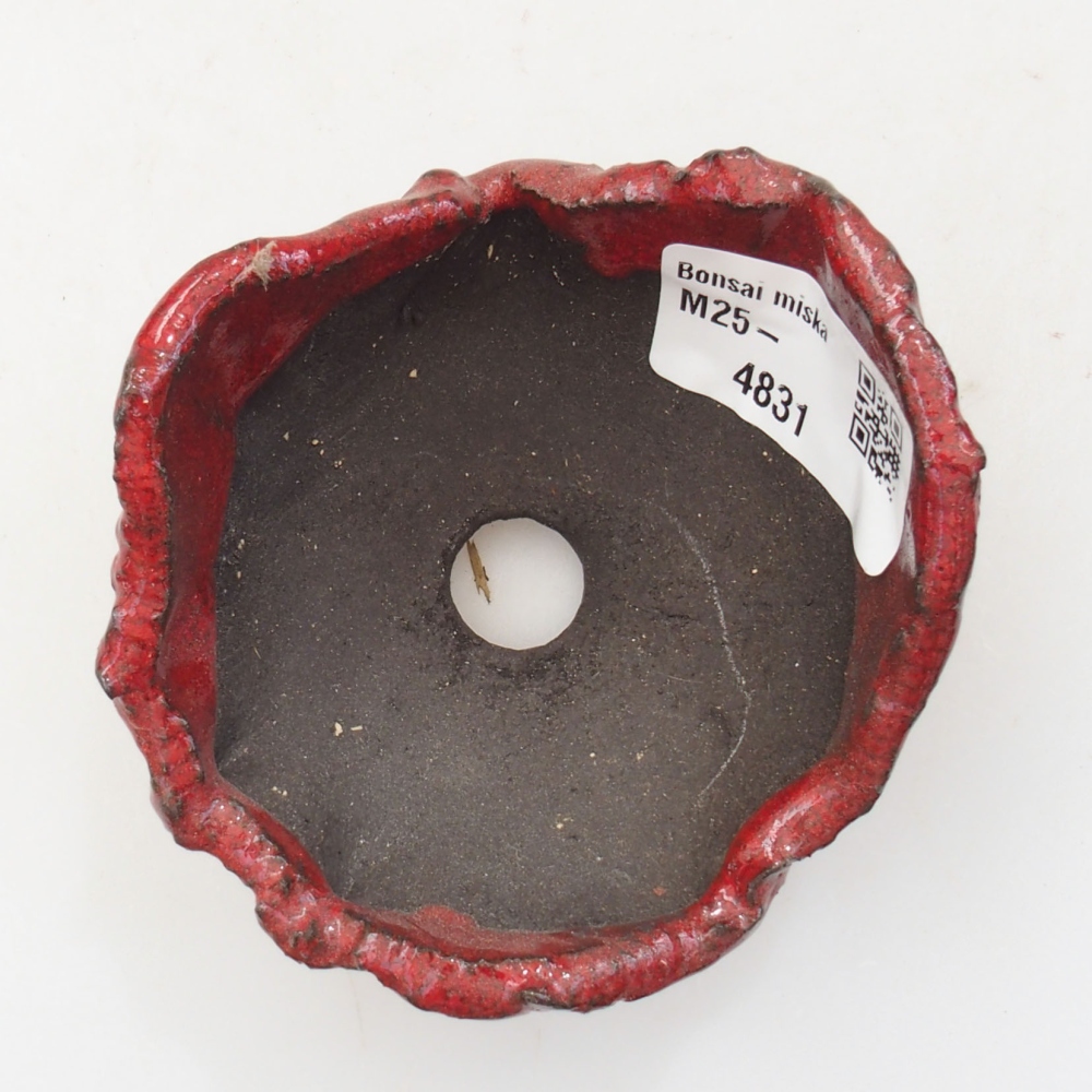Ceramic shell 8 x 7,5 x 5 cm, color red