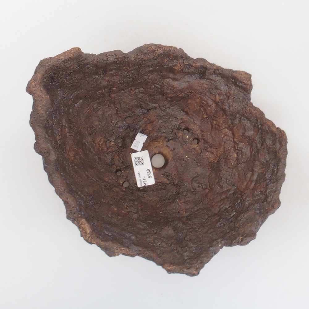 Ceramic shell 22 x 19 x 20 cm, brown color