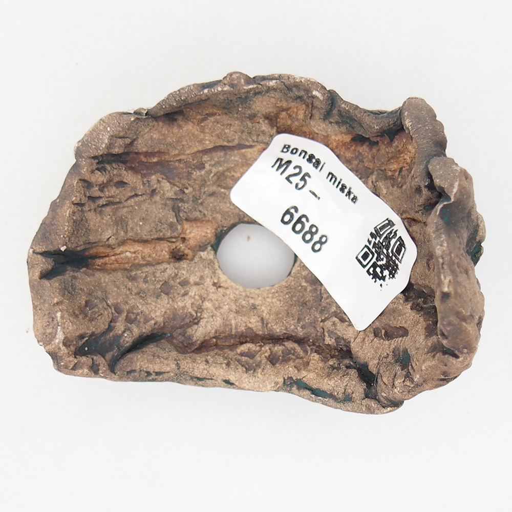 Ceramic Shell 6,5 x 5,5 x 6 cm , colour green