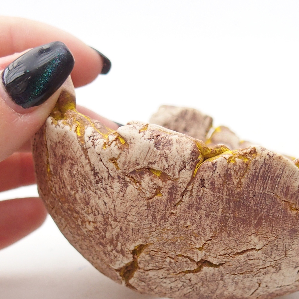 Ceramic Shell 9 x 9 x 5,5 cm , yellow