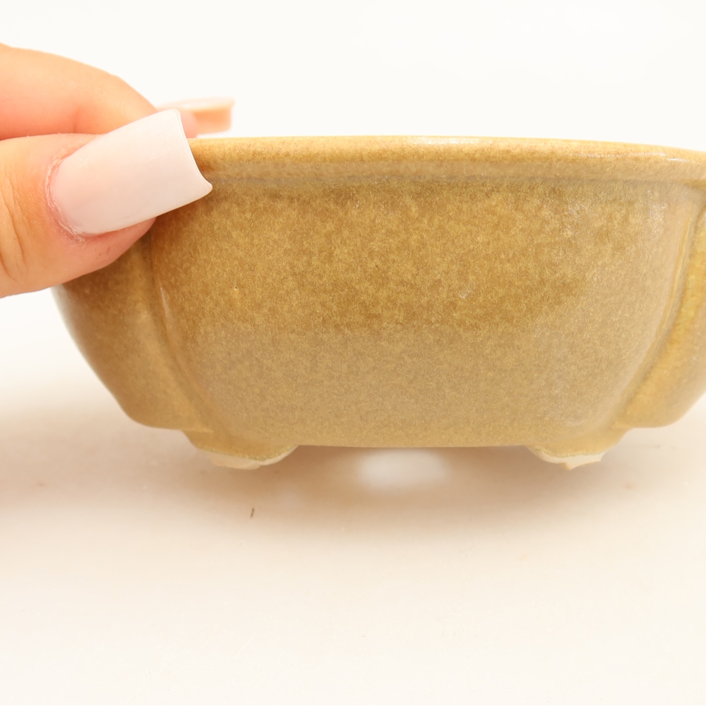 Ceramic bonsai pot, 12.5 x 10.5 x 4.5 cm, beige