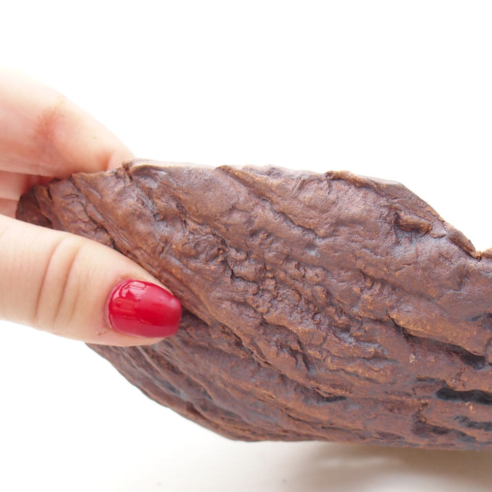 Ceramic shell 20 x 16 x 6 cm , colour brown