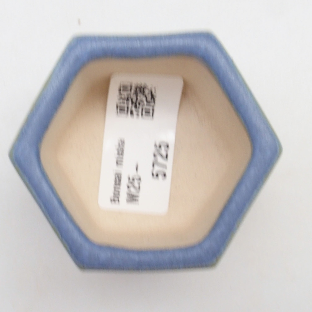 Mini bonsai bowl 6 x 5,5 x 4 cm, color blue