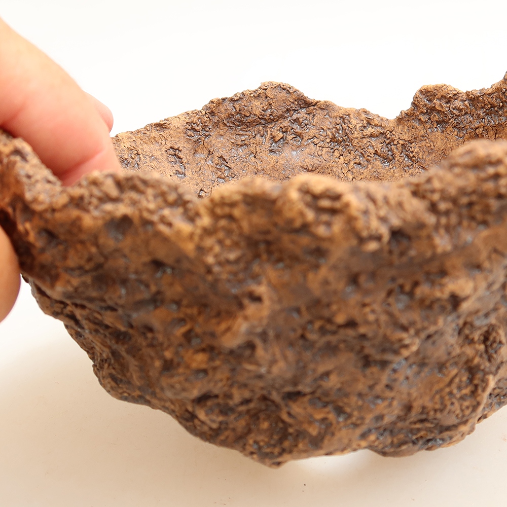 Ceramic Shell, 15 x 12 x 12.5 cm, brown