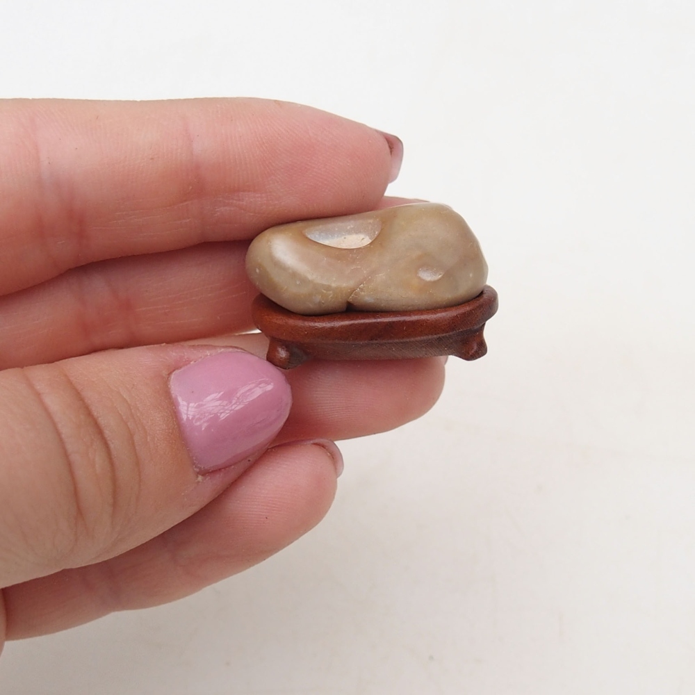 Suiseki - Stone with DAI (wooden pad)