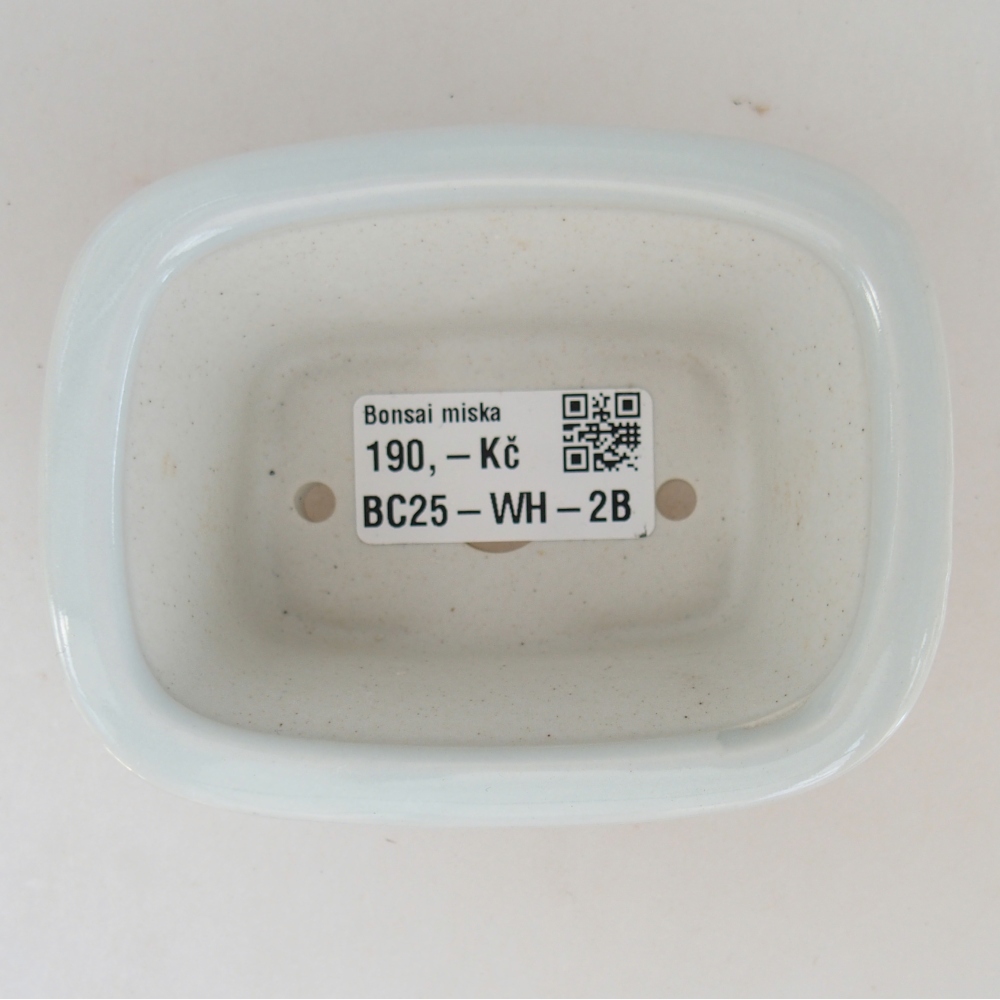Mini bonsai bowl 10 x 7,5 x 4 cm, colour white