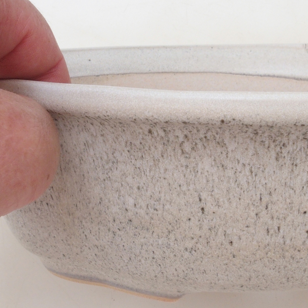 Bonsai bowl H75 - 19 x 14 x 6.5 cm. - beige
