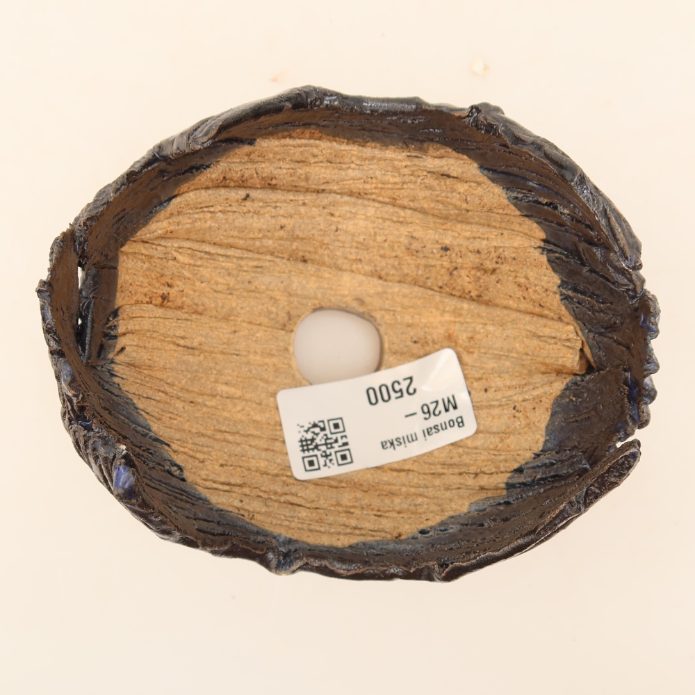 Ceramic Shell  10 x 9 x 7.5 cm, black-blue
